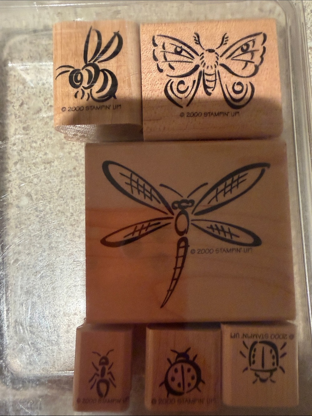 Stampin Up Bunch O’ Bugs